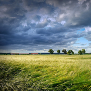 Farm Historic-Landscape Survey
