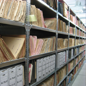 Archive and Local History Digitisation